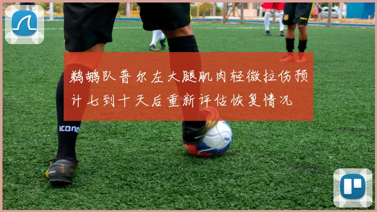 鹈鹕队普尔左大腿肌肉轻微拉伤预计七到十天后重新评估恢复情况