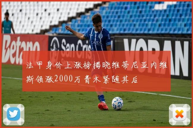 法甲身价上涨榜揭晓维蒂尼亚内维斯领涨2000万青木紧随其后